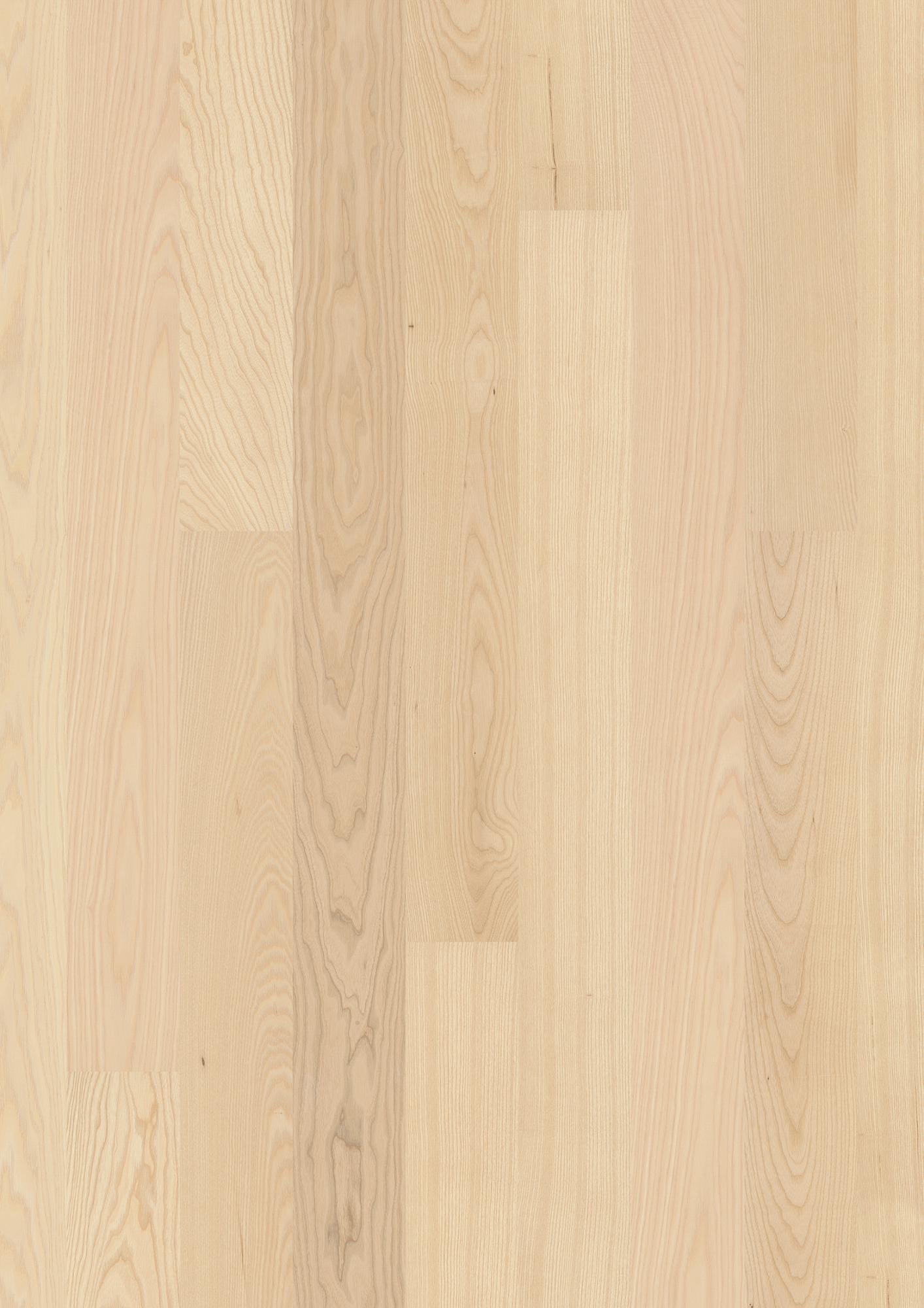 Ash Transparent Andante