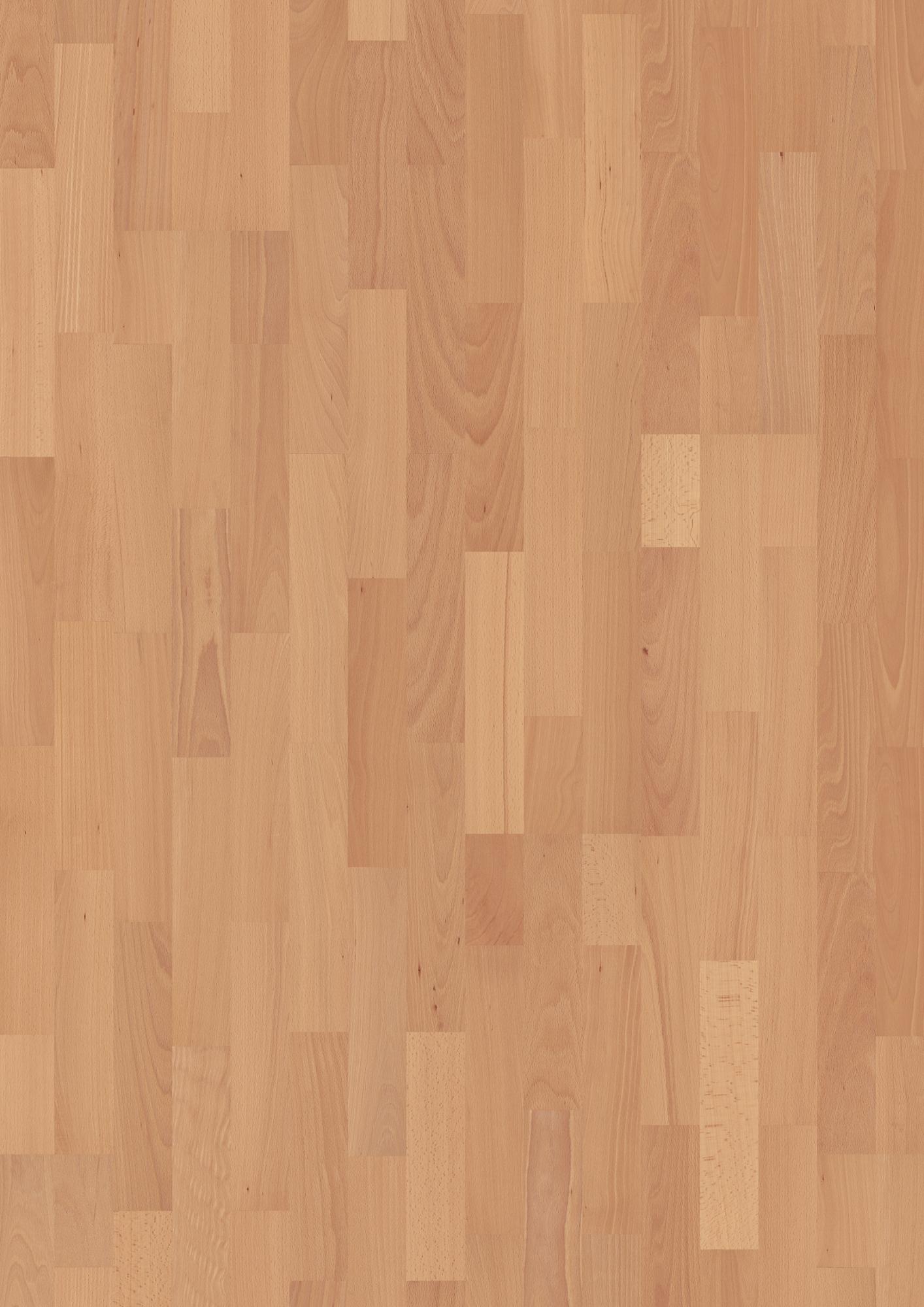 Beech Transparent Andante