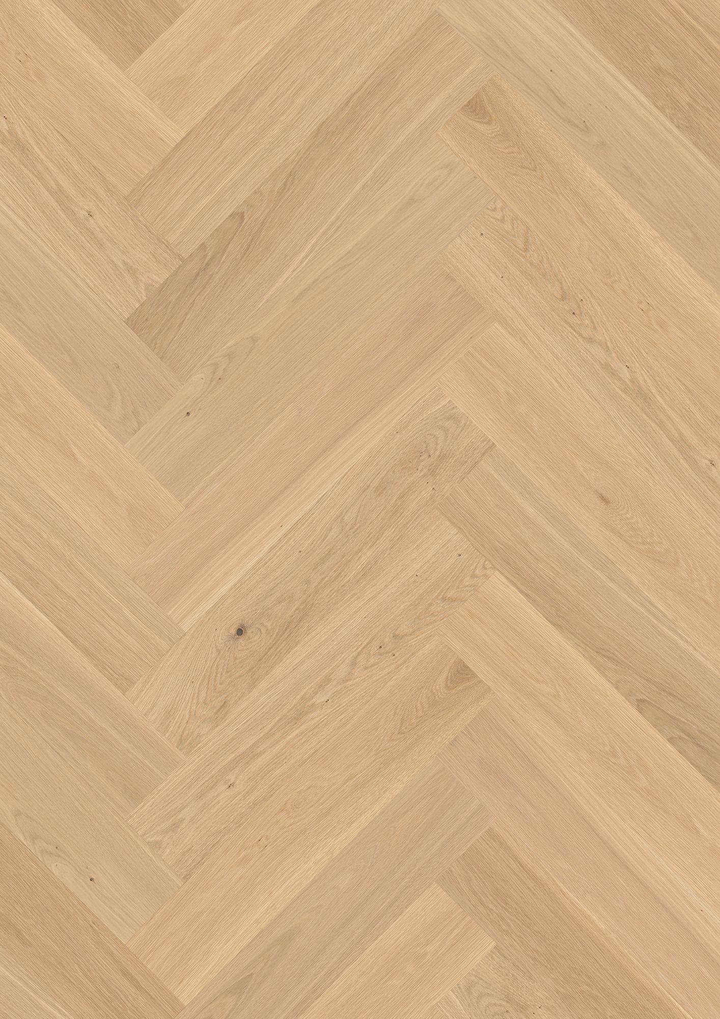 Oak Adagio