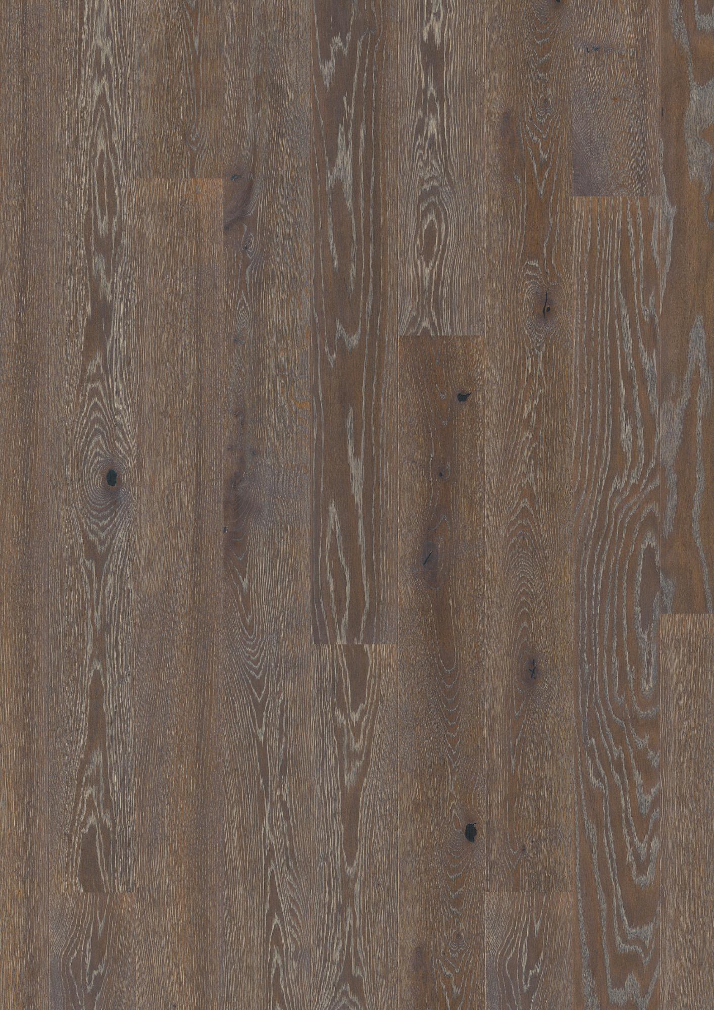 Oak Graphite Vivo