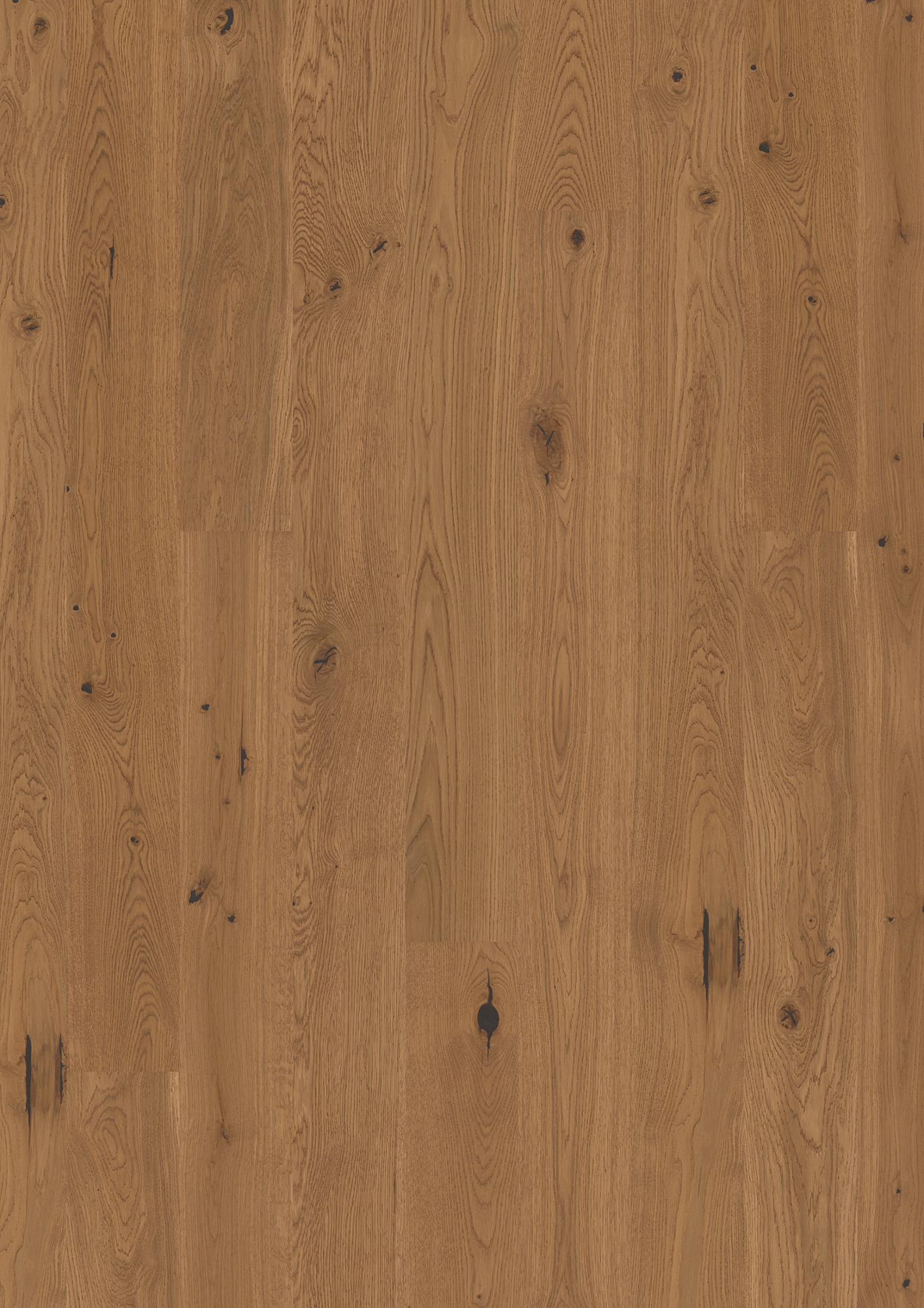 Oak Honey Vivo