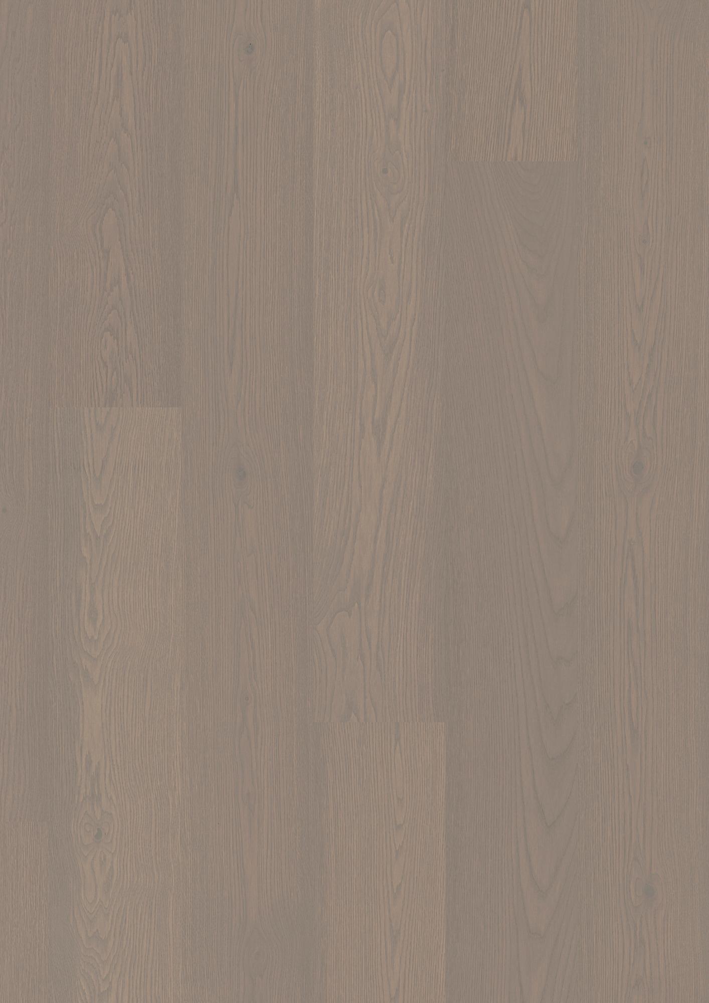 Oak Horizon Animoso