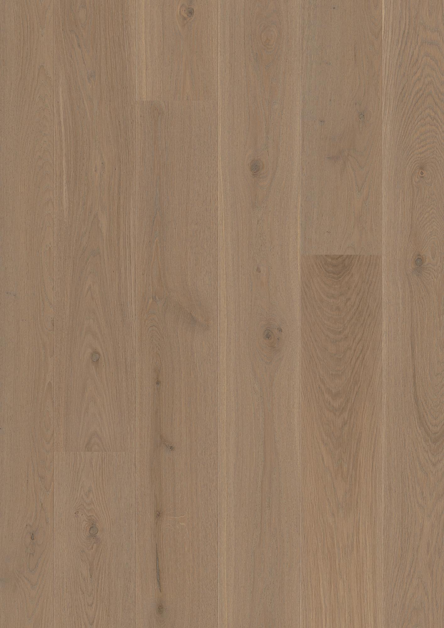 Oak Sand Animoso