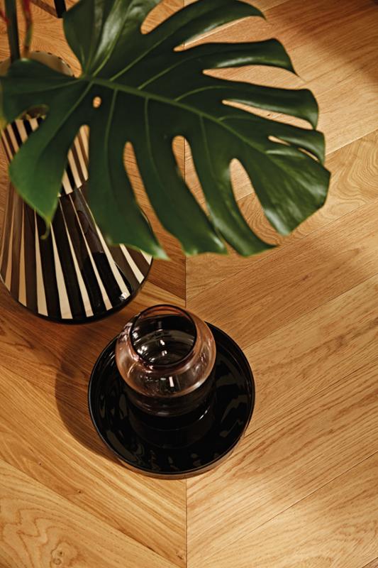 Oak Transparent Adagio - slika 5