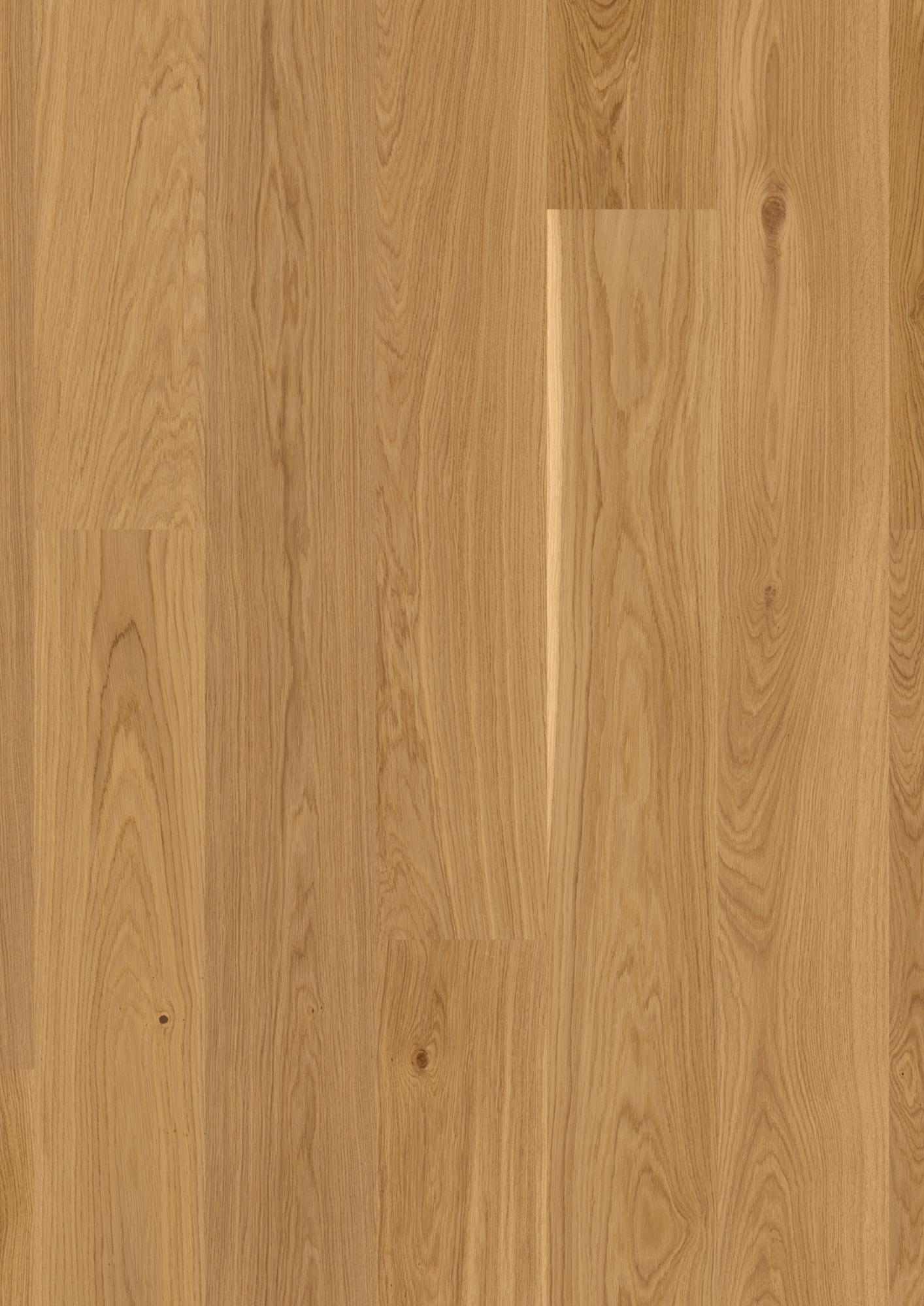 Oak Transparent Andante