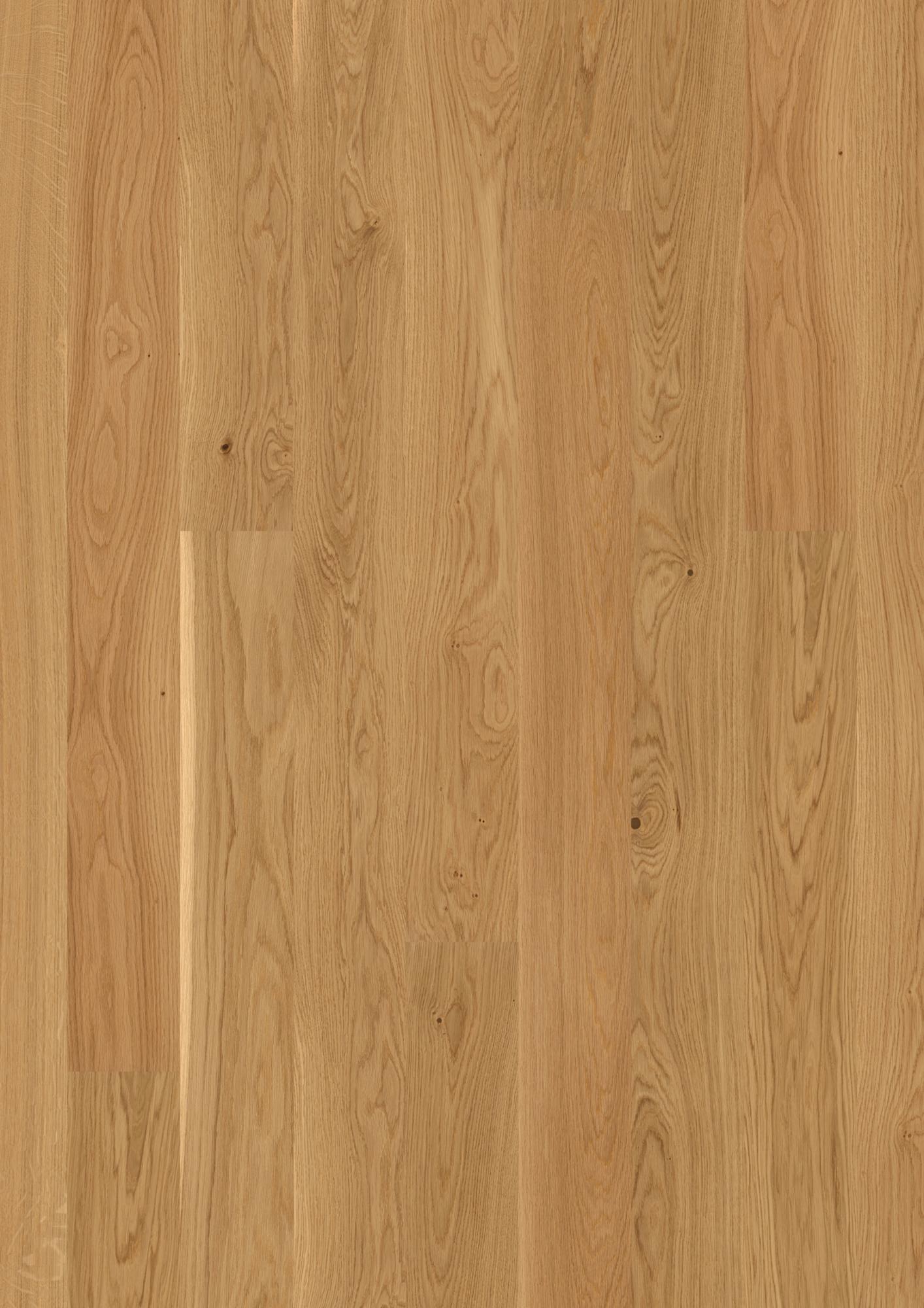 Oak Transparent Andante