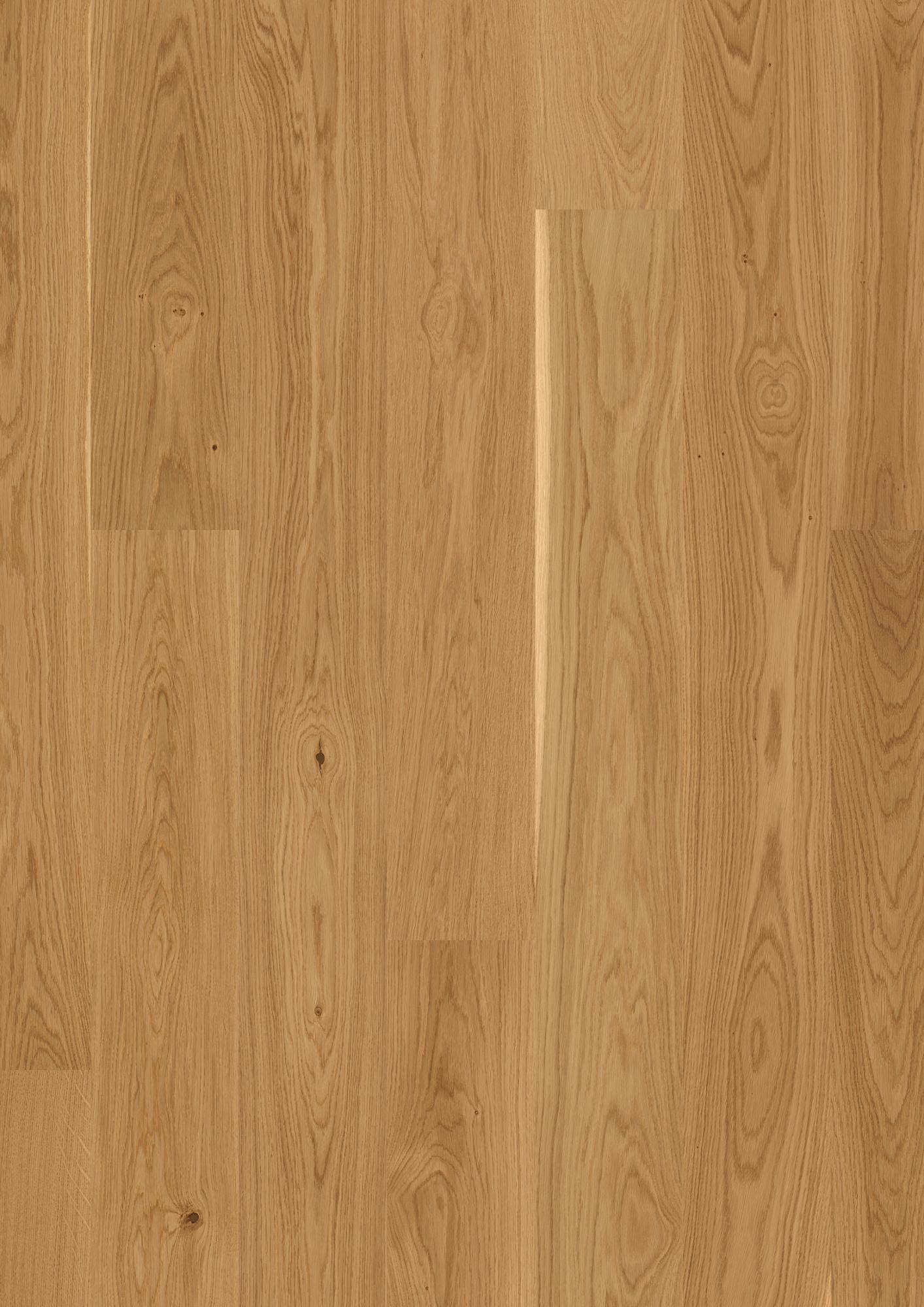 Oak Transparent Andante