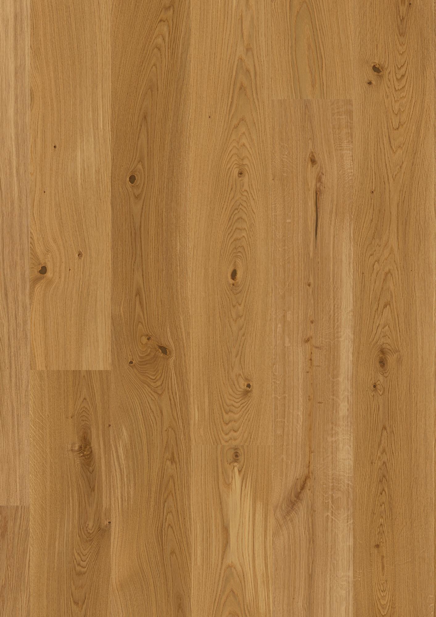 Oak Transparent Animoso