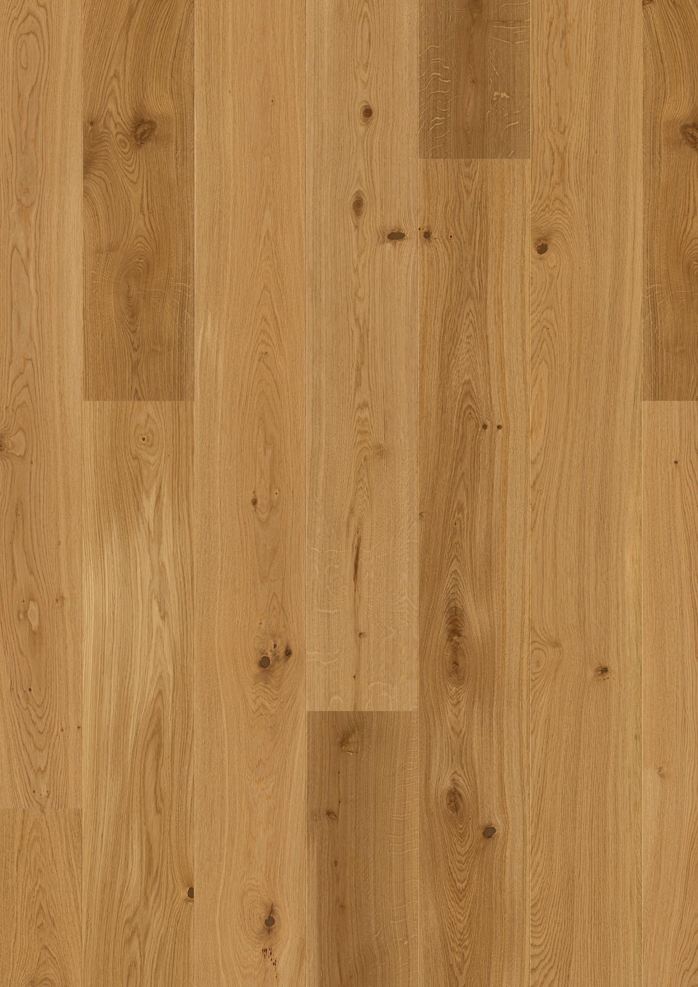 Oak Transparent Animoso