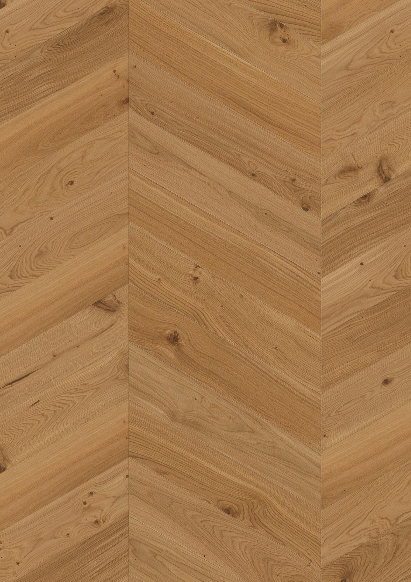 Oak Transparent Animoso
