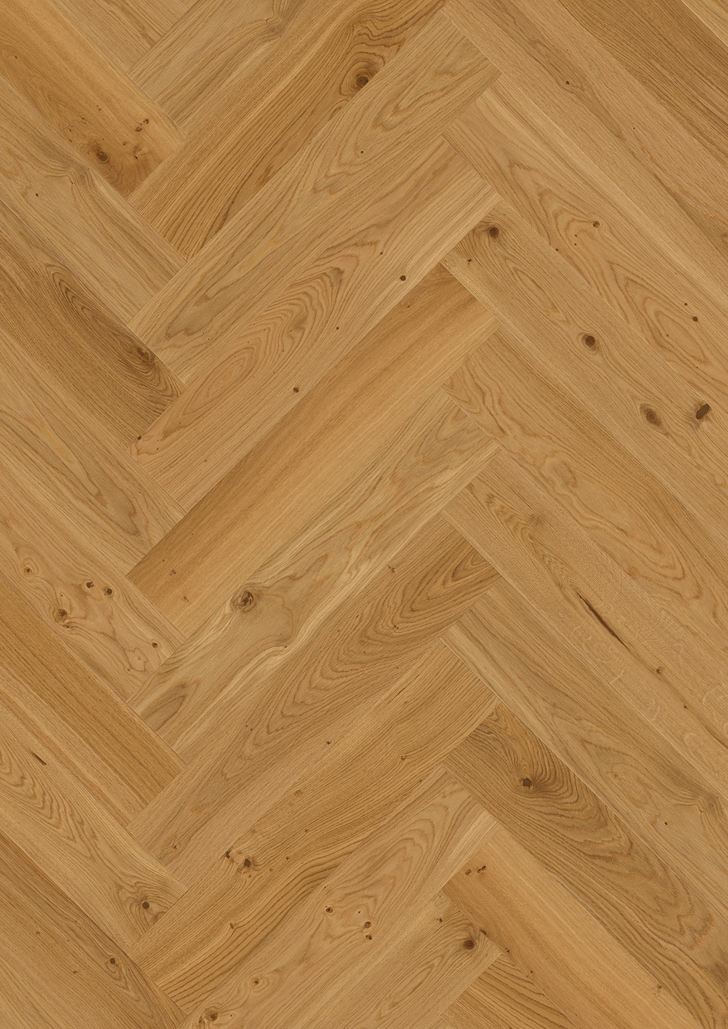 Oak Transparent Animoso