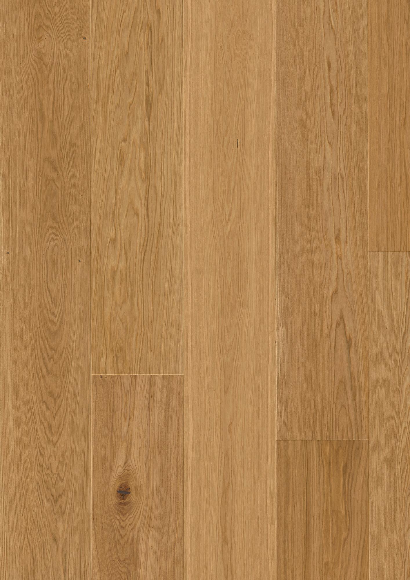 Oak Transparent Nature