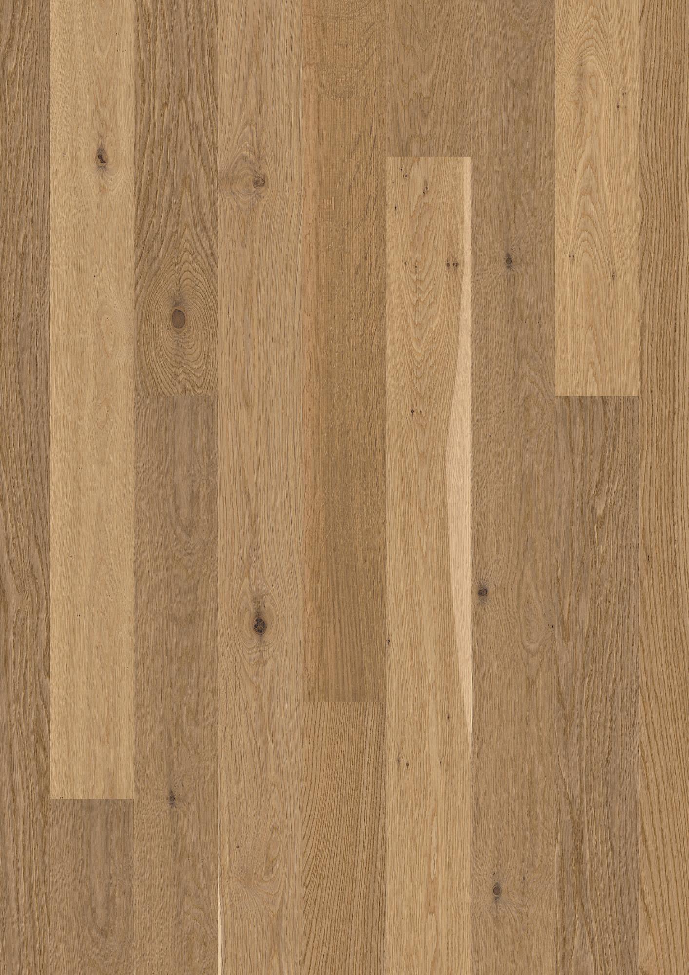 Oak Transparent Semi Smoked Animoso