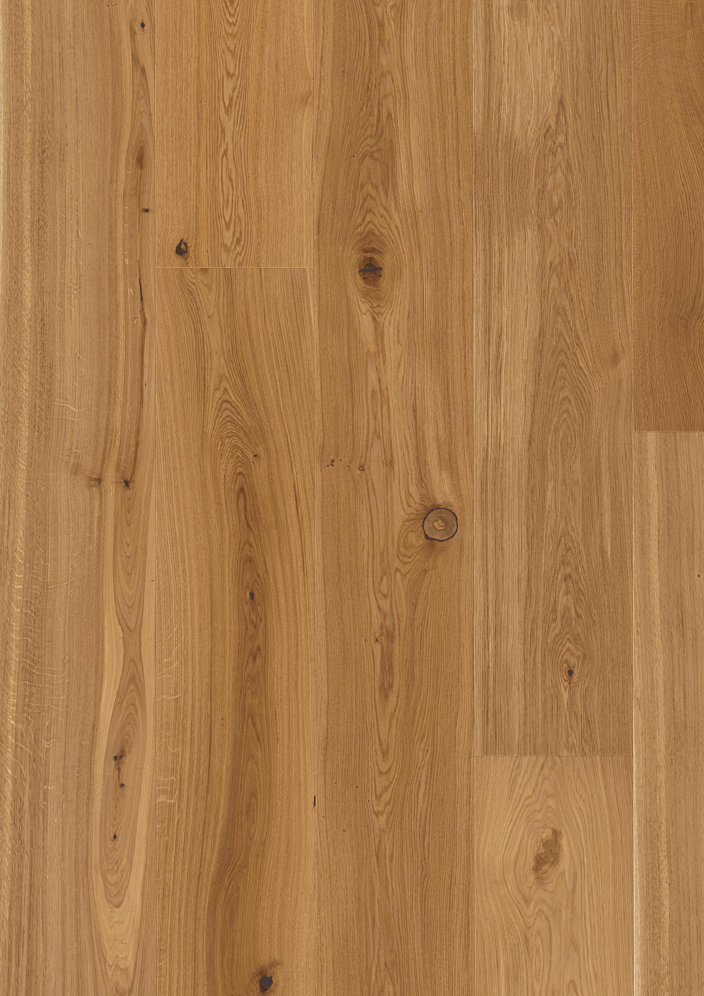 Oak Transparent Traditional