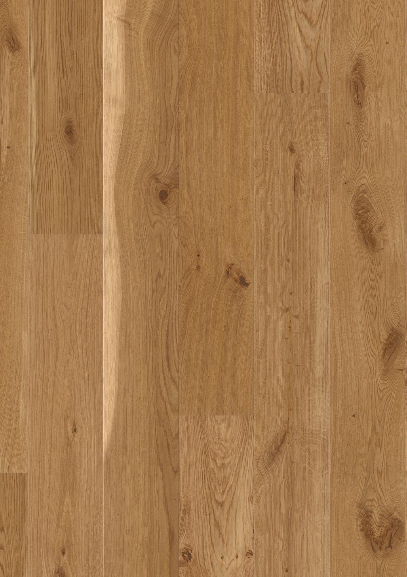 Oak Transparent Vivo