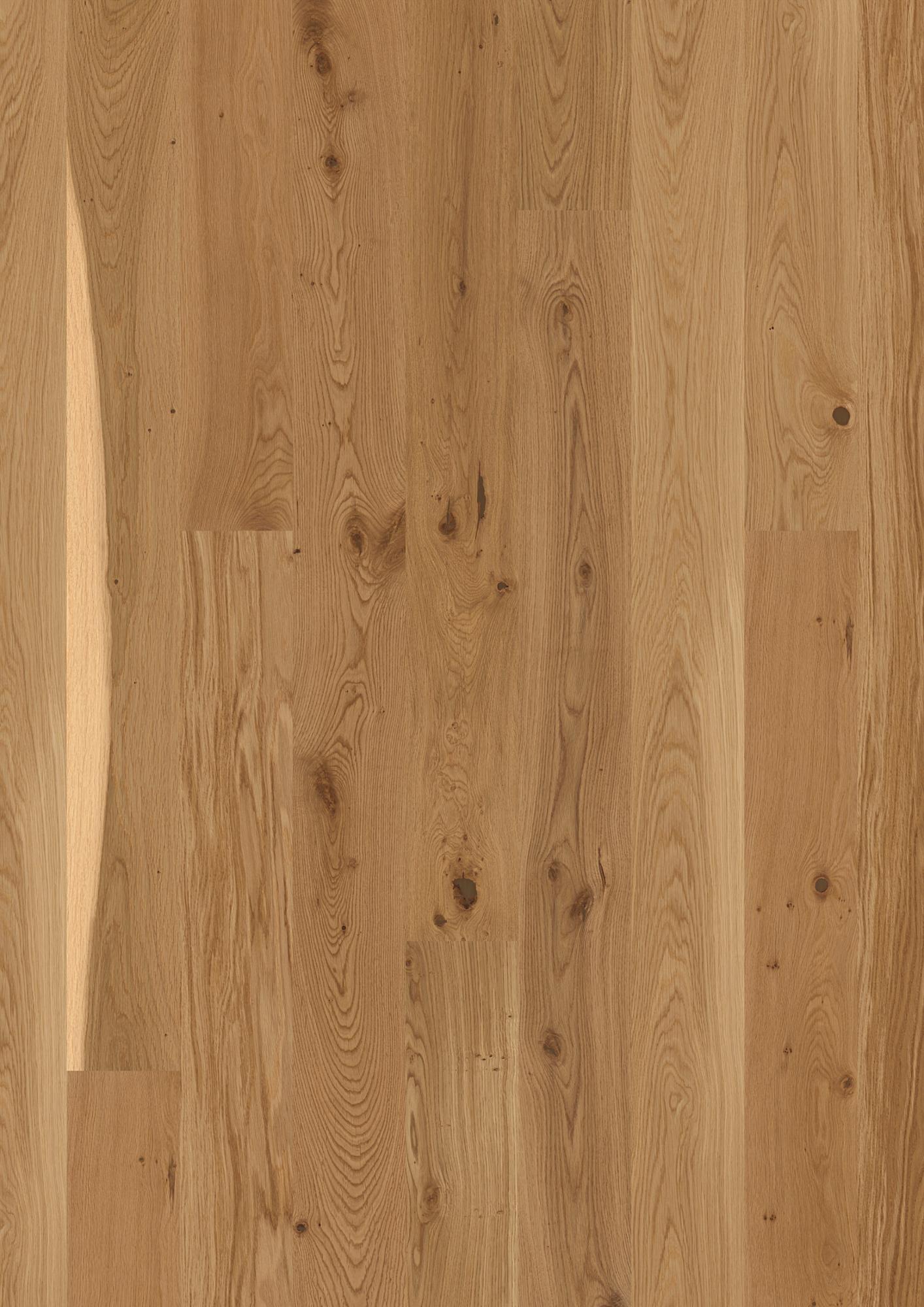Oak Transparent Vivo