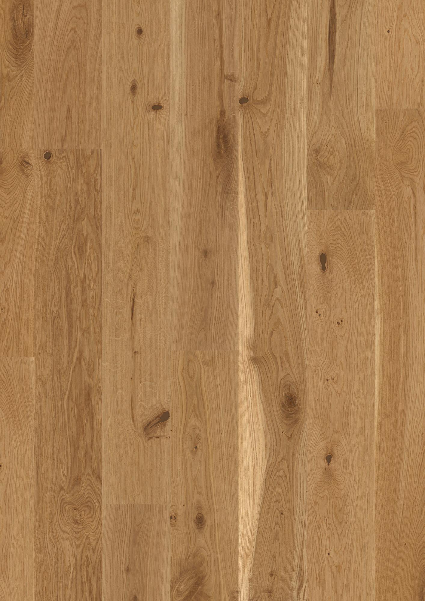 Oak Transparent Vivo