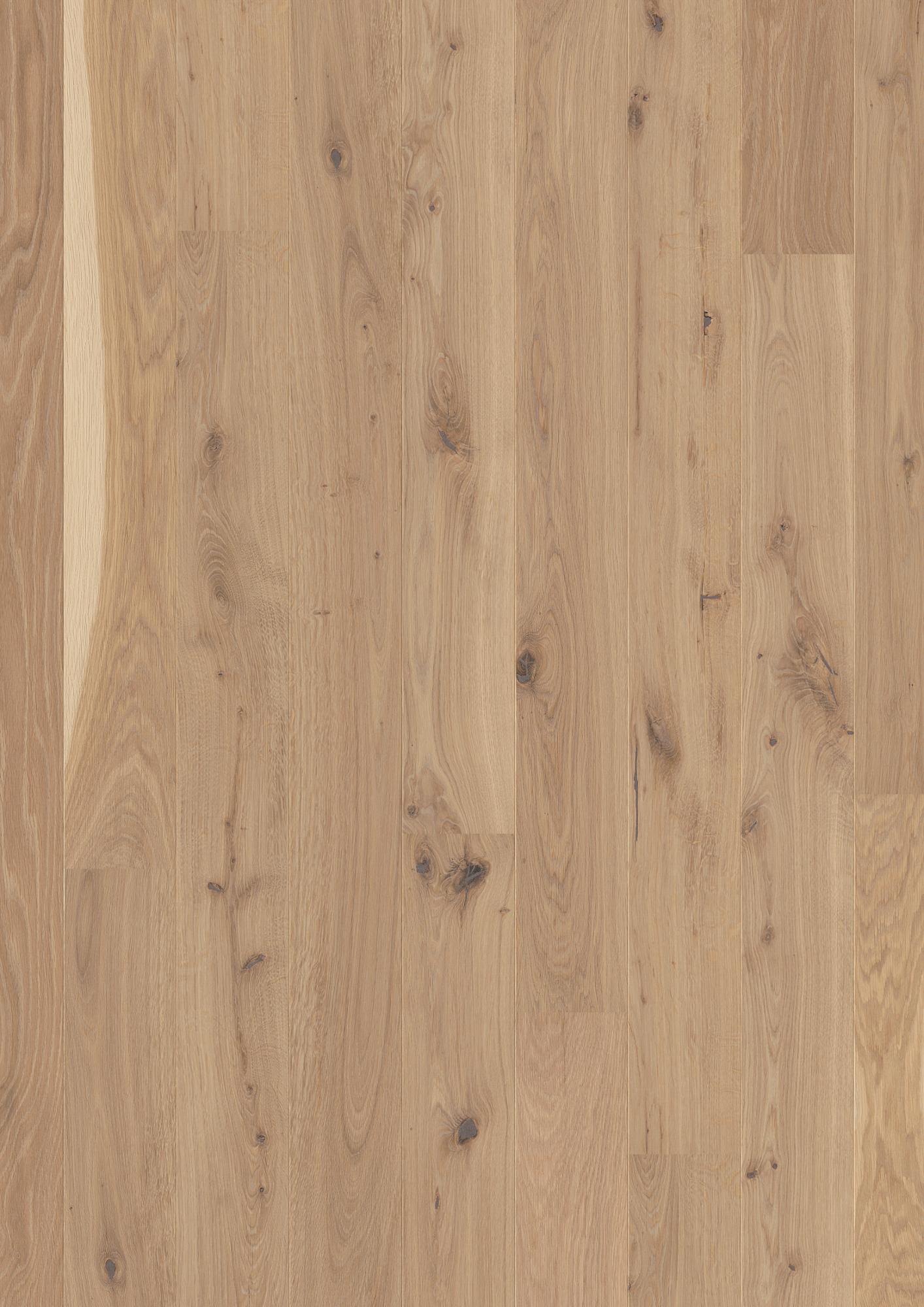Oak Transparent Vivo