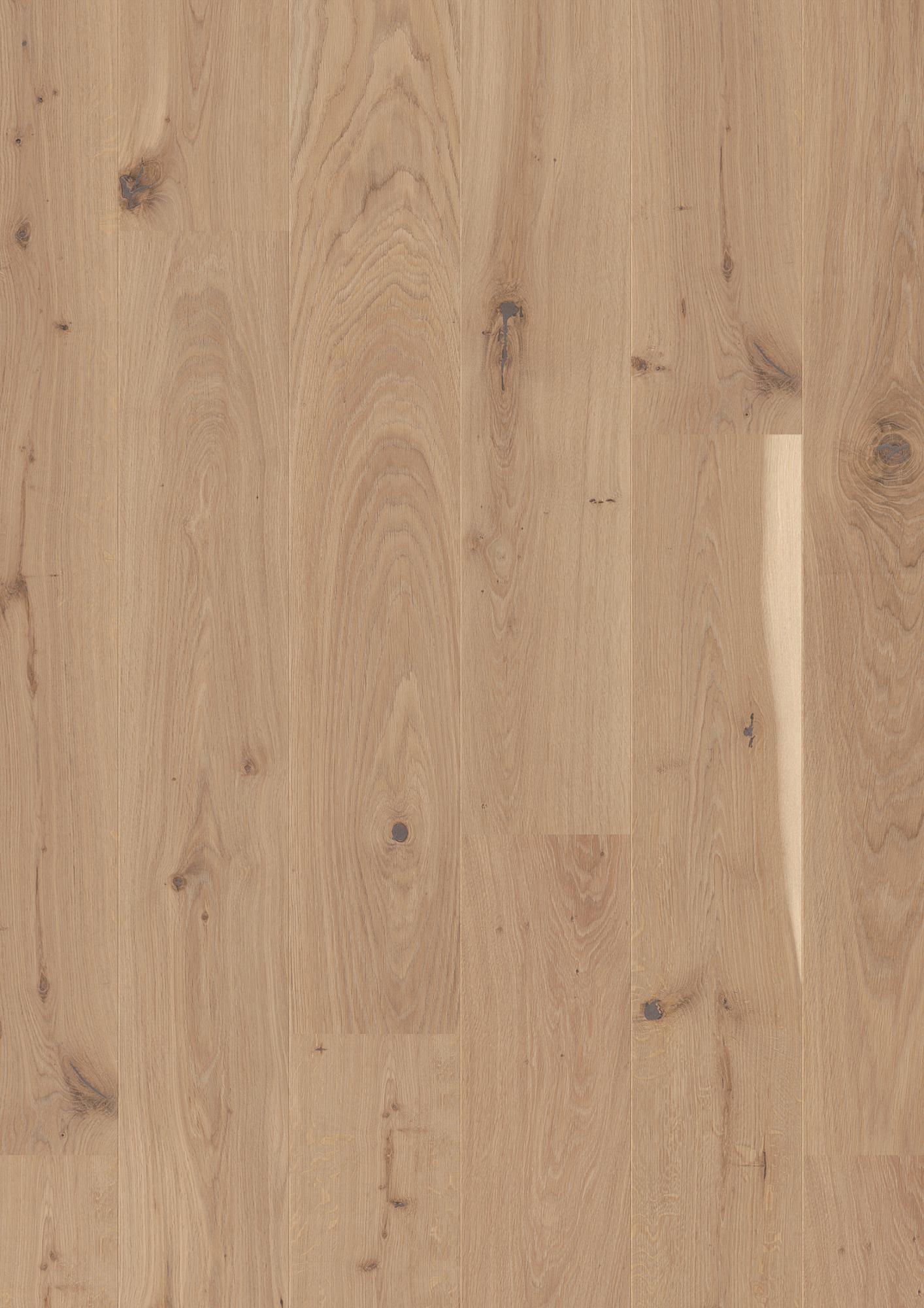 Oak Transparent Vivo