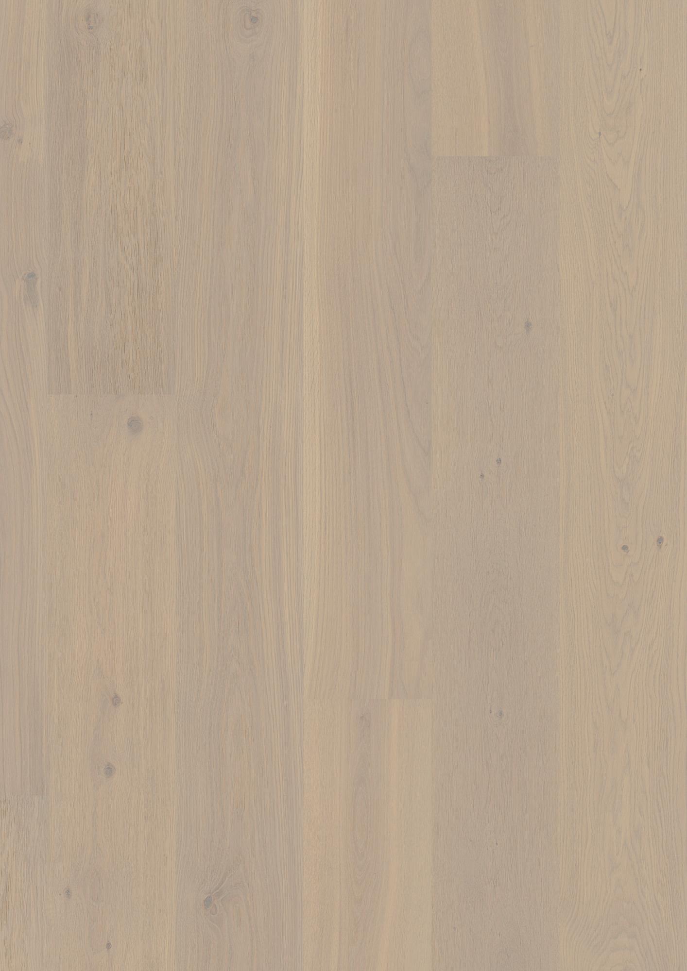 Oak Warm Cotton Animoso