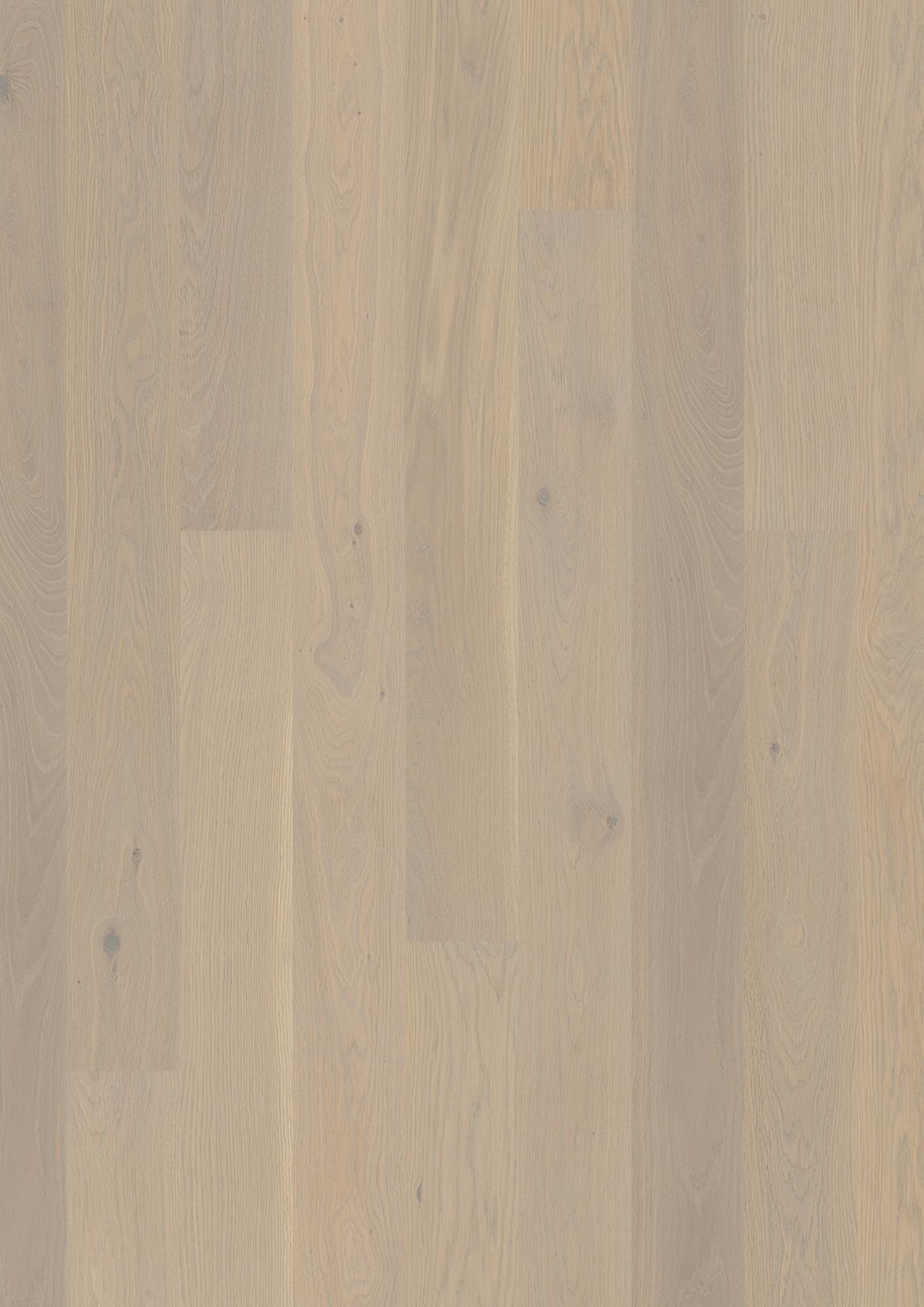Oak Warm Cotton Animoso