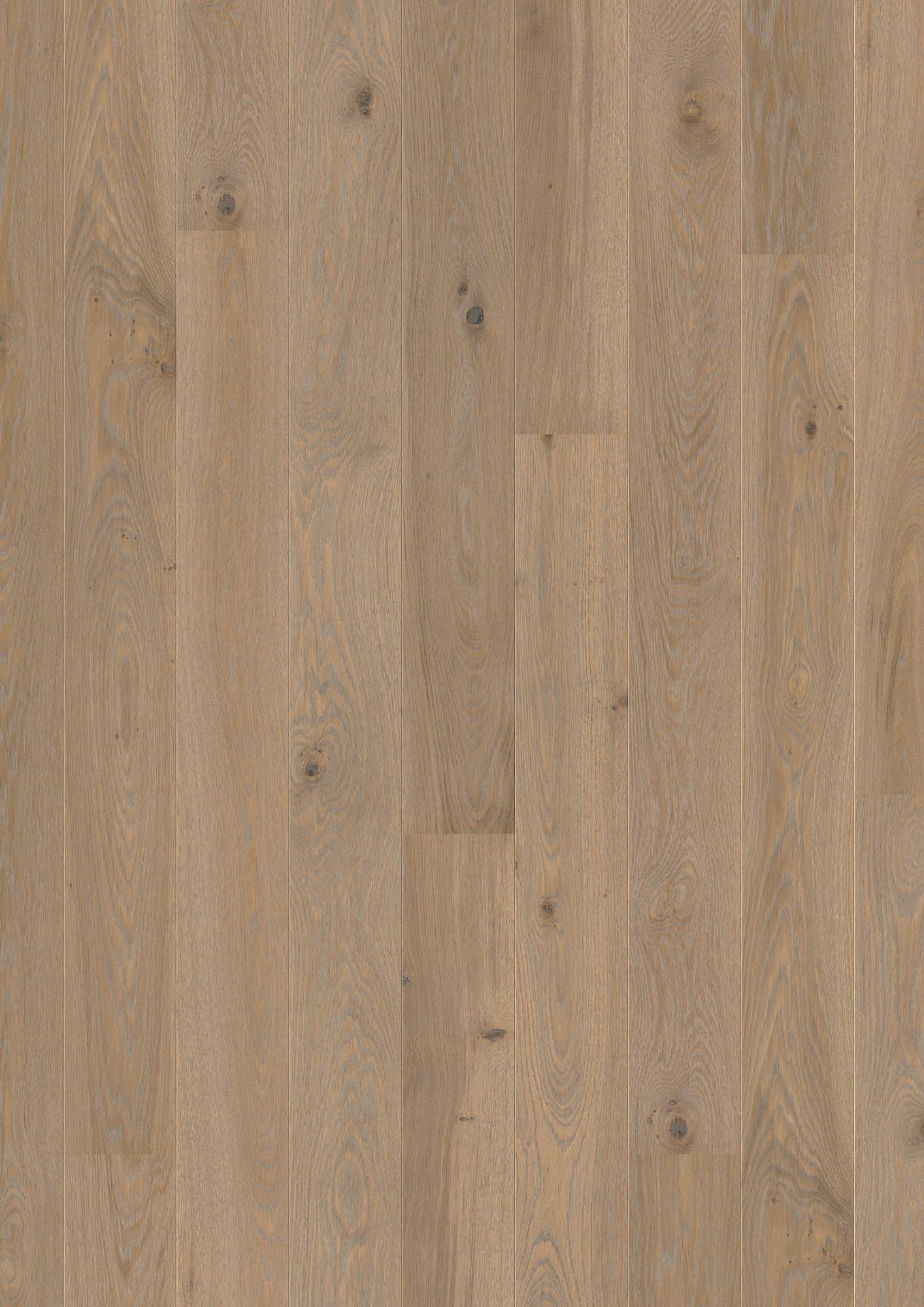 Oak Warm Grey Animoso