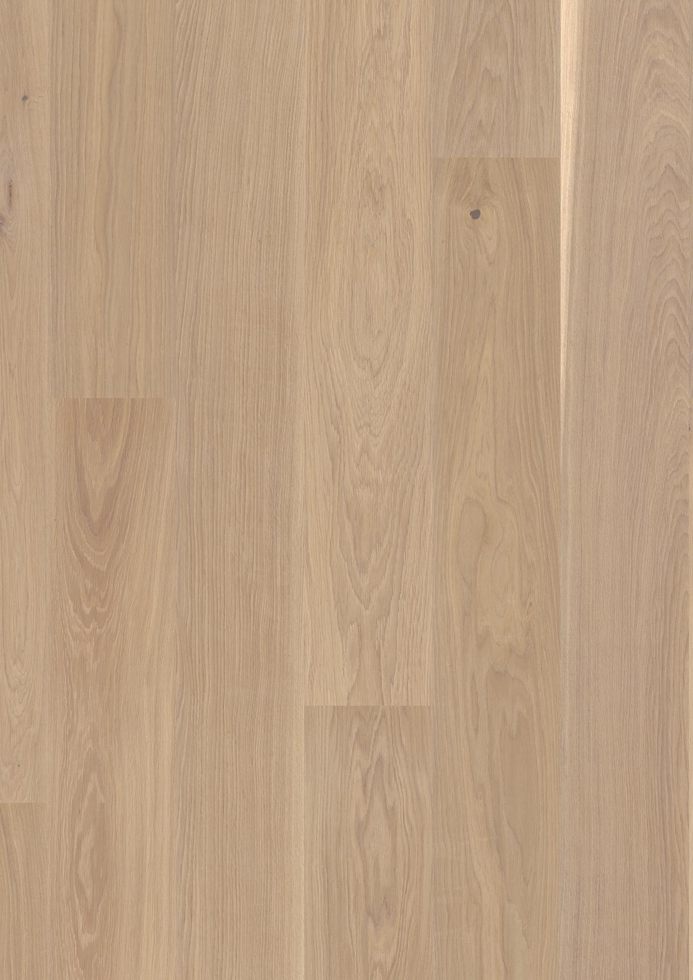 Oak White Andante