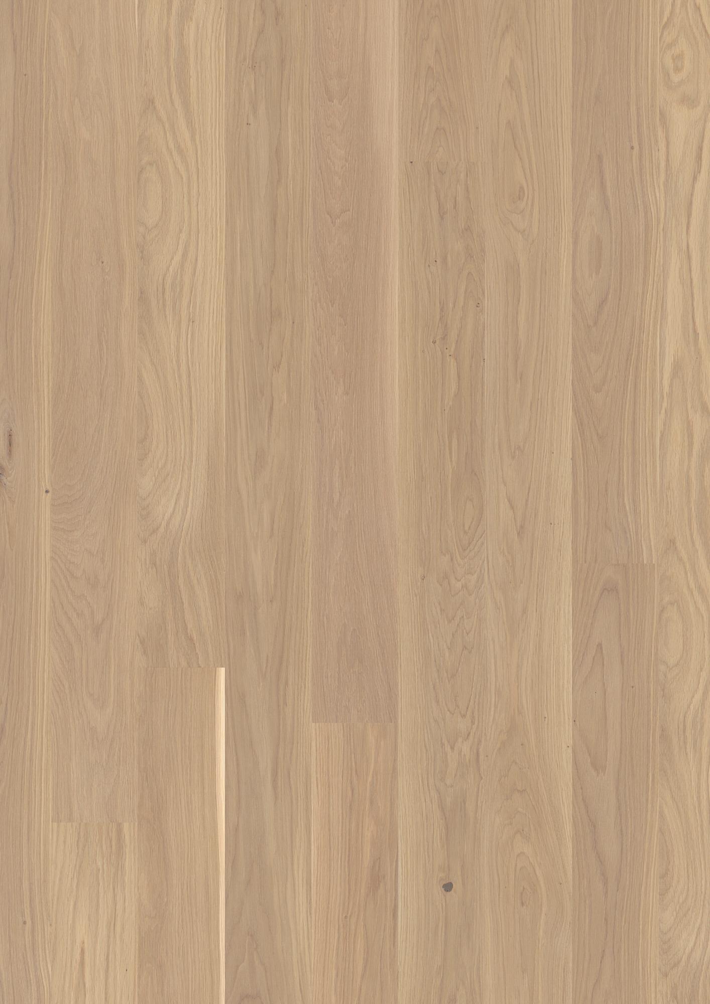 Oak White Andante
