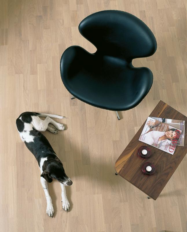 Oak White Andante - slika 2
