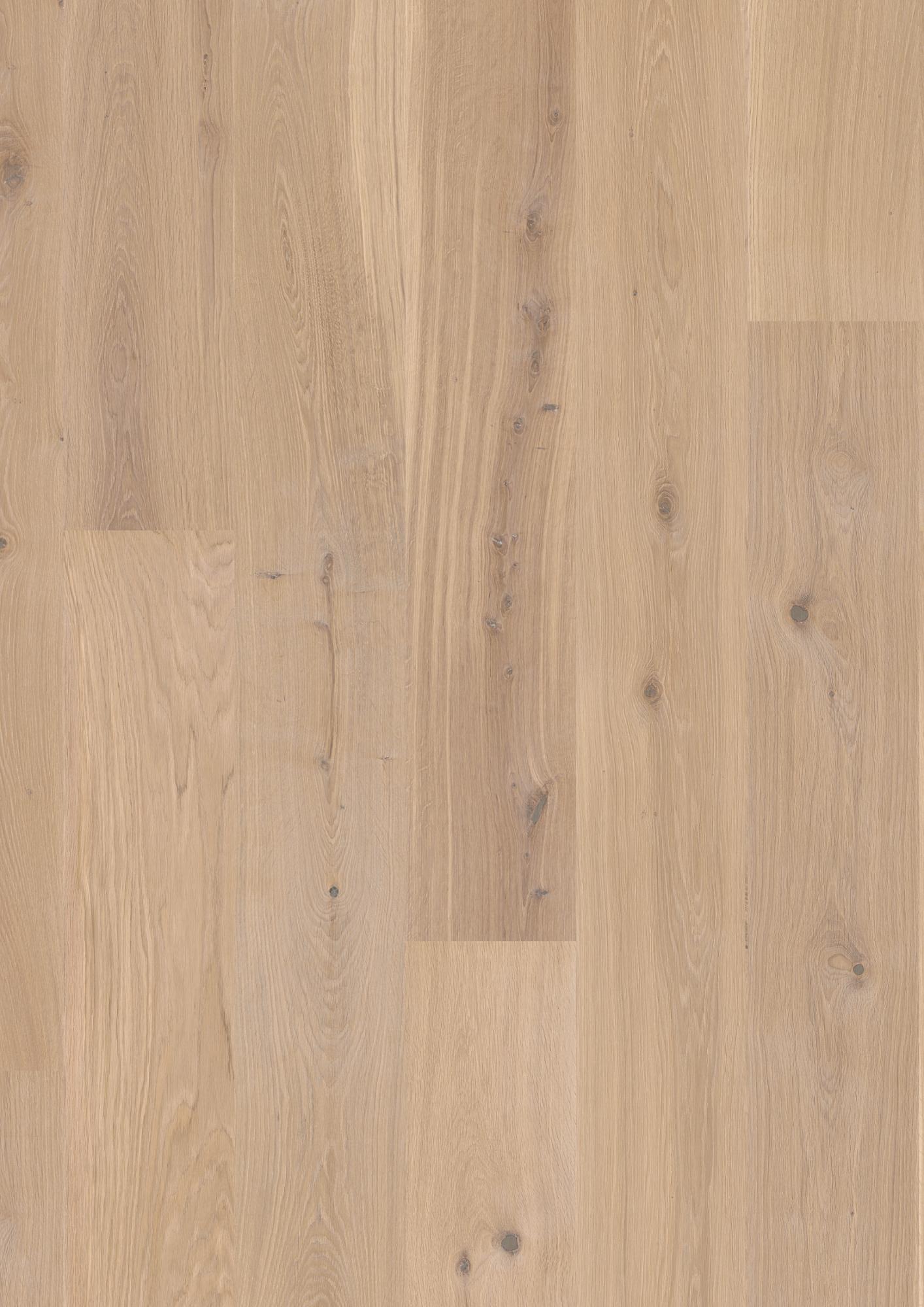 Oak White Animoso