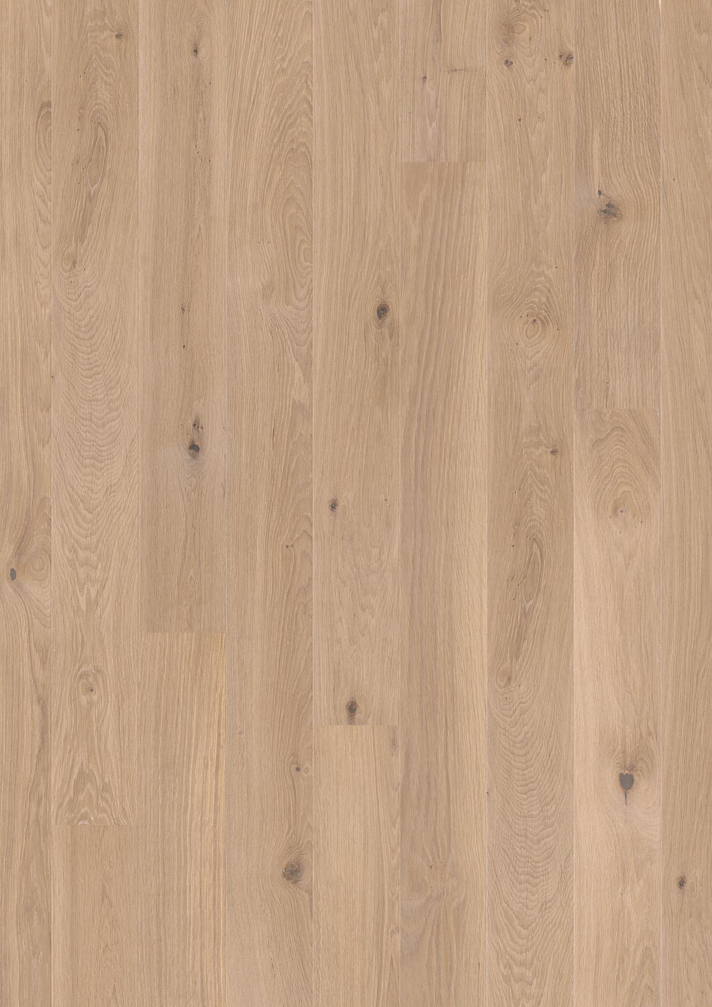 Oak White Animoso