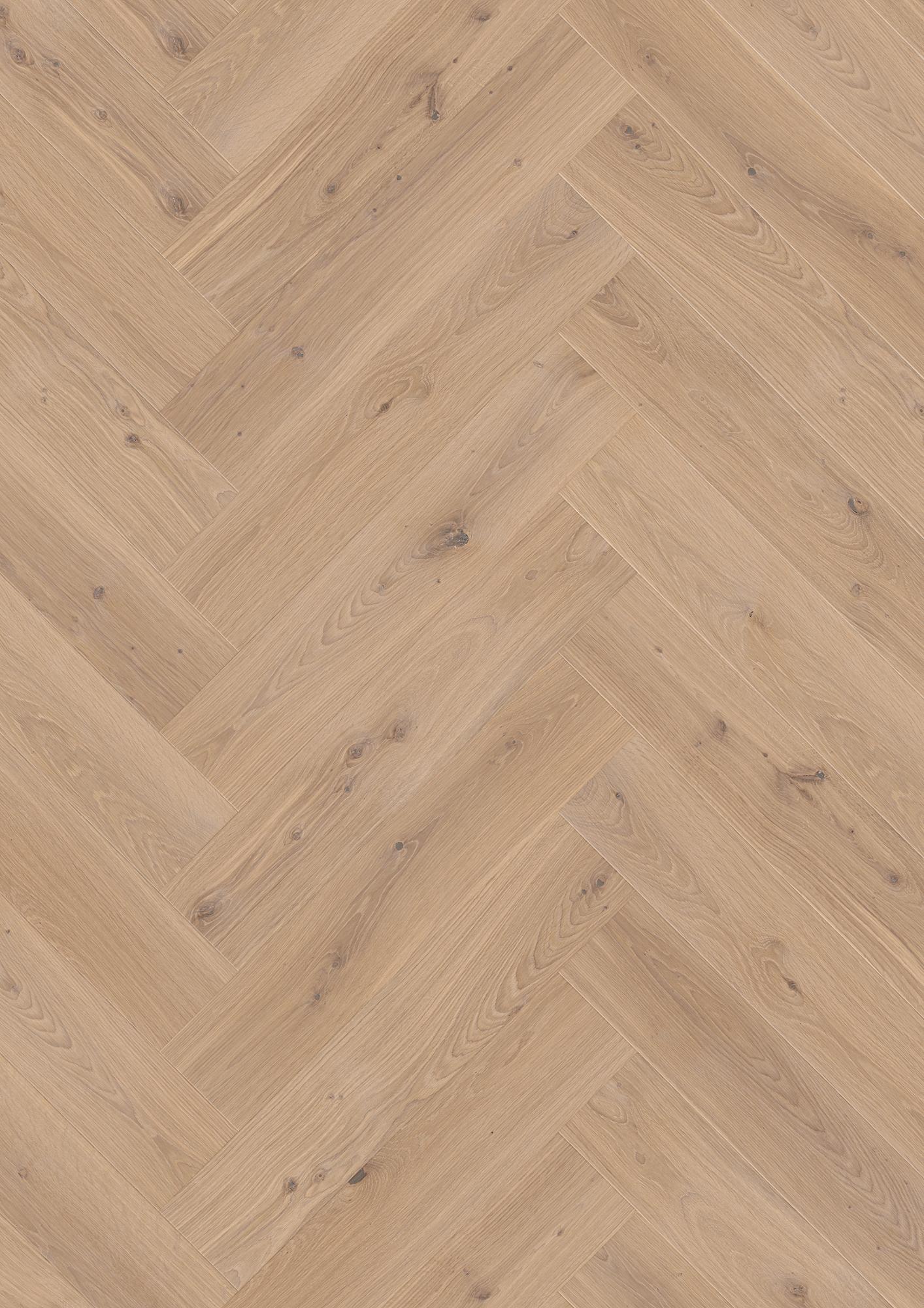 Oak White Animoso