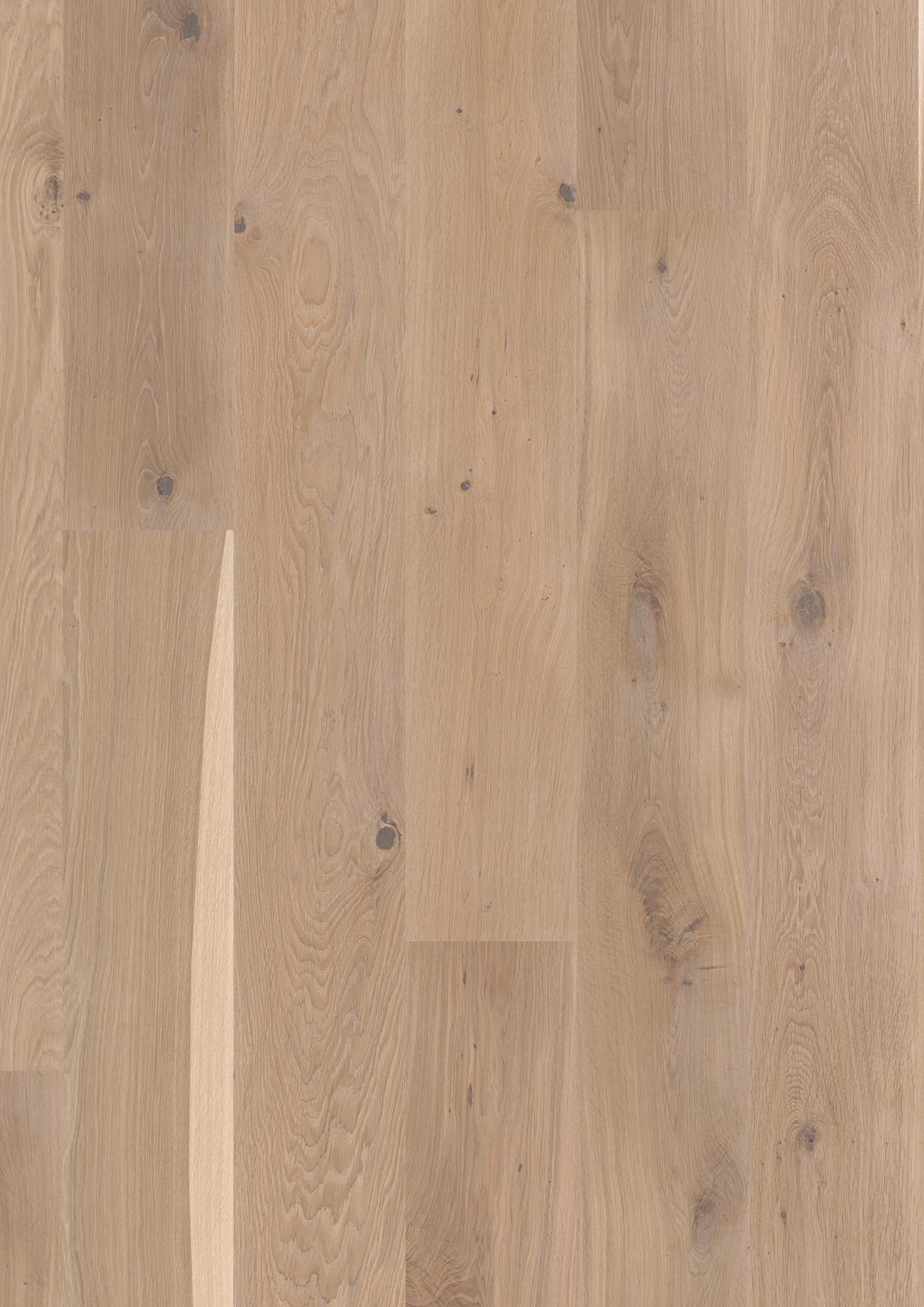 Oak White Vivo
