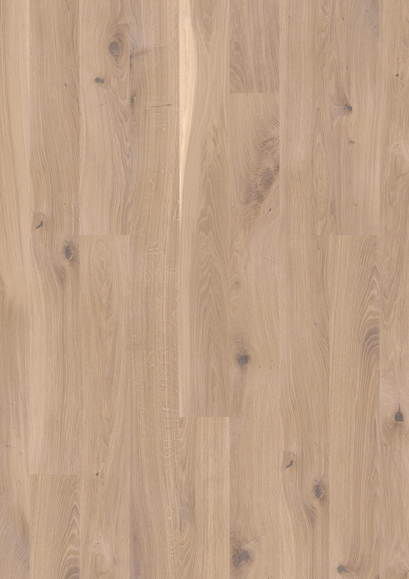 Oak White Vivo