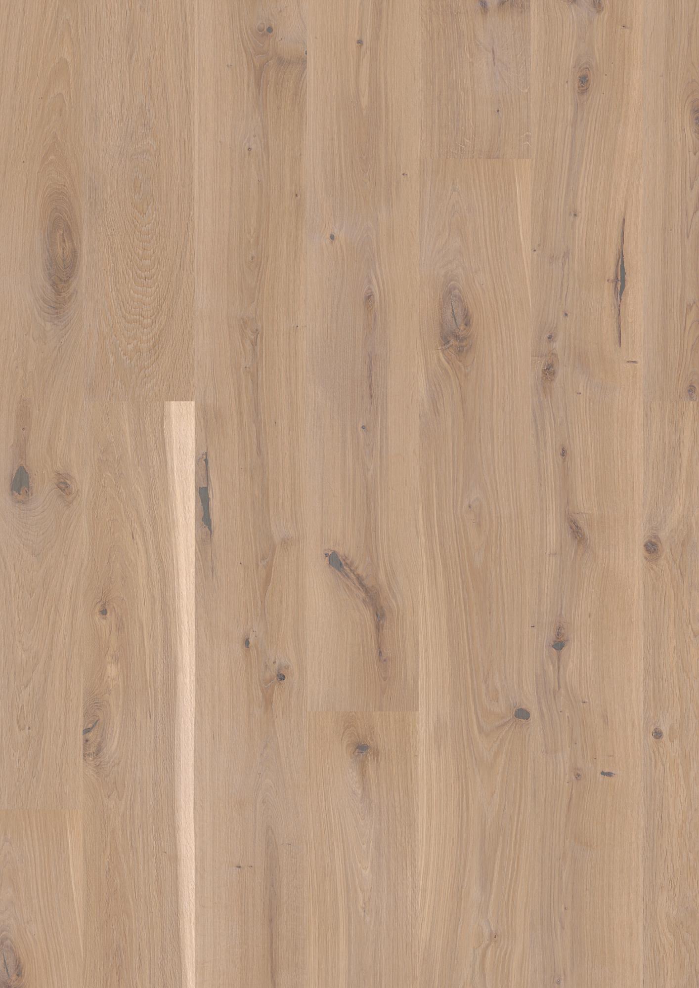Oak White Vivo