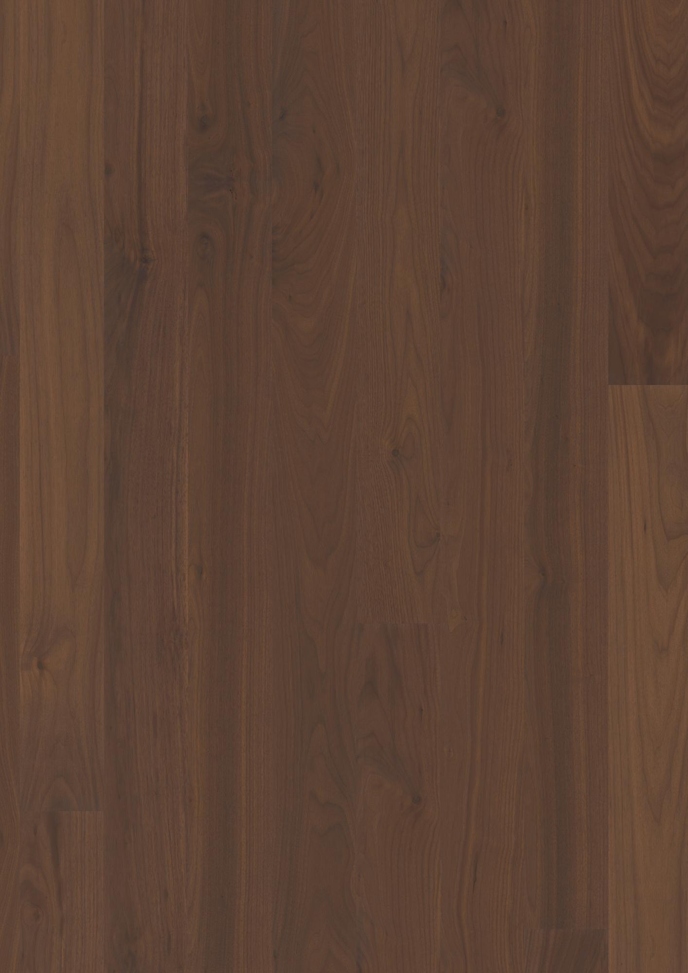 Walnut am. Transparent Andante