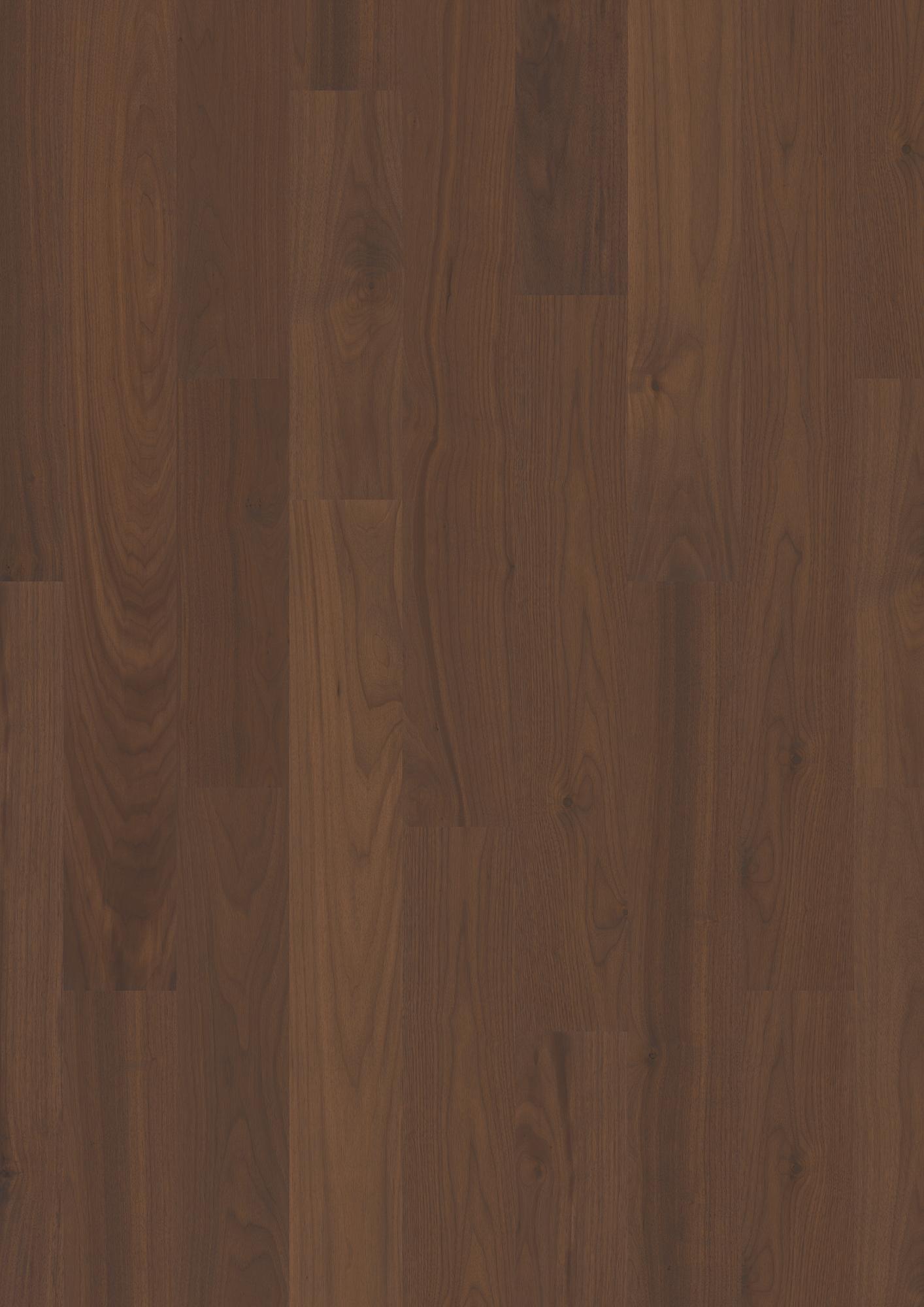 Walnut am. Transparent Andante