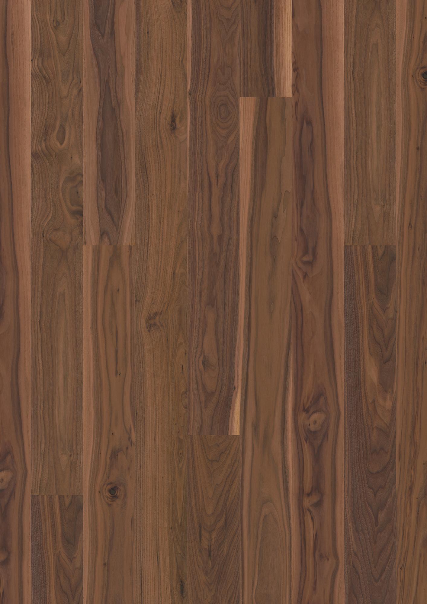 Walnut am. Transparent Animoso
