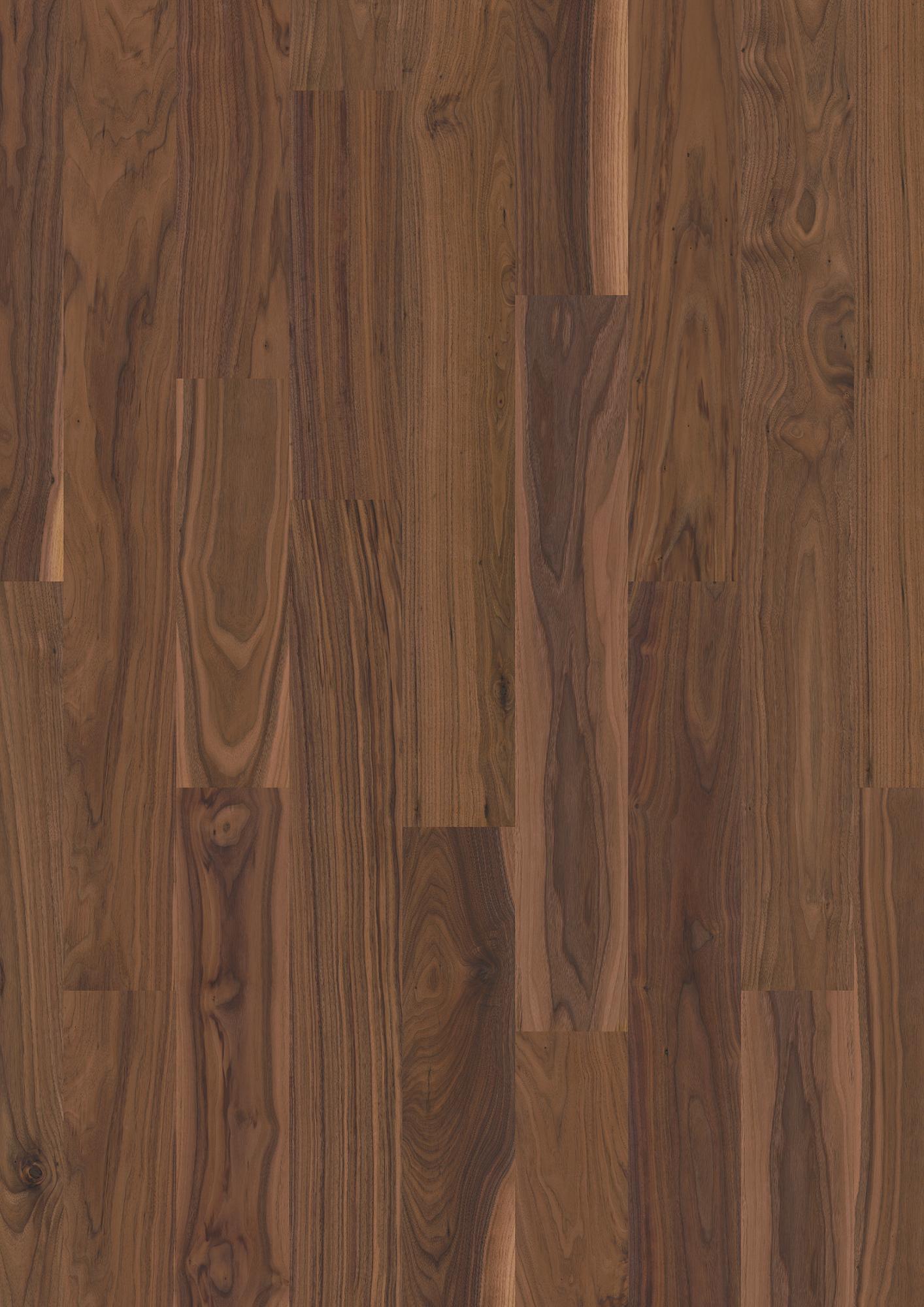 Walnut am. Transparent Animoso